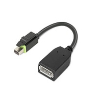 Bild von Lenovo 4X90Q93975 Videokabel-Adapter Mini DisplayPort DisplayPort Schwarz