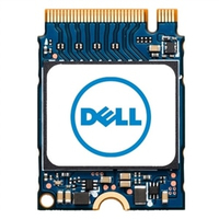 DELL EMC NVME CLASS 35 2230 SSD 256GB