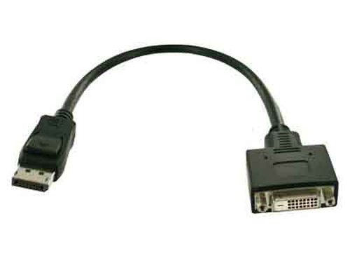 Bild von Fujitsu S26361-F2391-L200 Videokabel-Adapter DisplayPort DVI-D