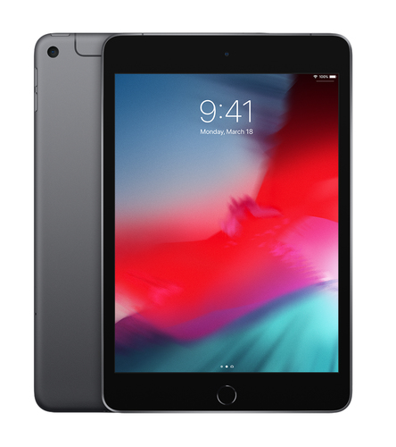 Bild von Apple iPad mini 4G LTE 256 GB 20,1 cm (7.9 Zoll) Wi-Fi 5 (802.11ac) iOS 12 Grau