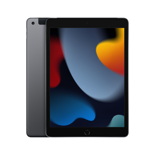 Bild von Apple iPad 4G LTE 256 GB 25,9 cm (10.2 Zoll) Wi-Fi 5 (802.11ac) iPadOS 15 Grau