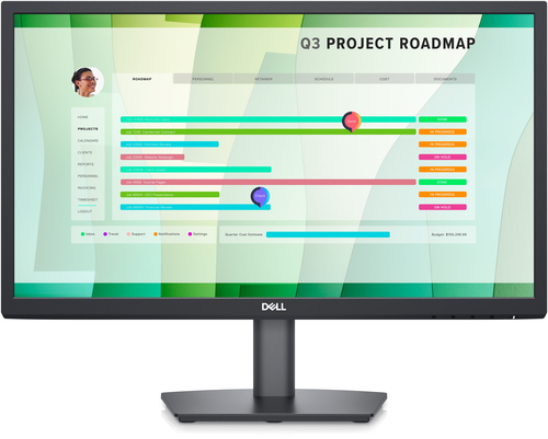 DELL EMC TFT E2223HN 21.5IN LCD