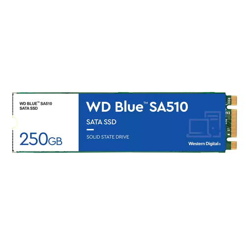 Bild von Western Digital Blue SA510 250 GB M.2 Serial ATA III