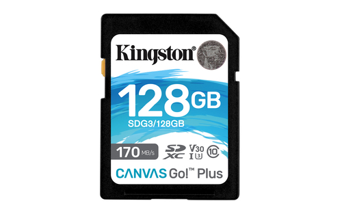 128GB SDXC CANVAS GO PLUS 170R