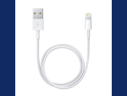 Bild von Apple Lightning / USB 0,5 m Weiß