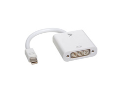 Bild von V7 Videoadapter Mini-DisplayPort (m) auf DVI-D (m), weiß