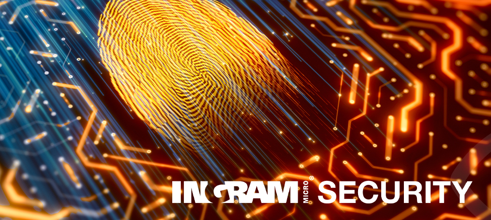 Cyber Security bei Ingram Micro: Was ist eigentlich ein Basic Penetration Test?