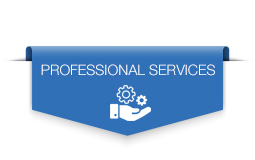 Professional | SERVICES